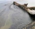 В одной из бухт Владивостока специалисты зафиксировали разлив нефтепродуктов