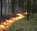 Пожар в регионах России: горит более 66,4 тыс. га леса