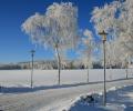 В Москве снова выпал снег