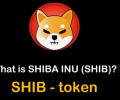  2021       $8 .   Shiba Inu