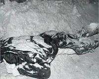 В Подмосковье жестоко избили и изнасиловали сотрудницу университета