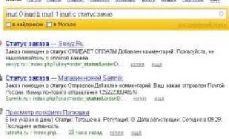 Яндекс допустил утечку информации о покупателях секс-шопа