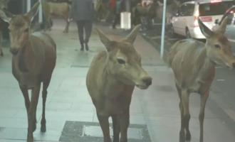� �������� ����� � ��� ��������� ��������� ������