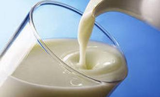 Ученые: рейтинг продуктов, помогающих поумнеть