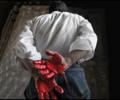 70-летние старики-разбойники получили по 25 лет колонии