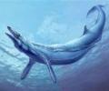 Древние киты рожали на суше