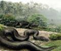 Палеонтологи нашли останки самой огромной в мире змеи