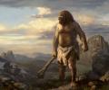 Расшифрован геном неандертальца 