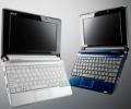 Acer     