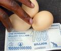 ООН предсказывает: купить еду смогут не все
