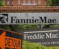 Freddie Mac  50    