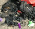 Мамаша обвиняется в гибели двух малолетних детей