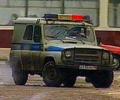 В Москве раскрыто похищение и убийство девочки