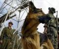 Ликвидированные в Таджикистане боевики - россияне