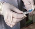 В Австралии набрали добровольцев для испытания вакцины от свиного гриппа