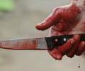 В Архангельской области зарезана 10-летняя девочка