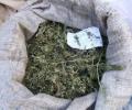 Около 20 кг марихуаны изъято на камчатке