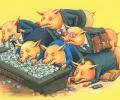 Transparency International:      143   