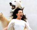 Pussy Riot: исландская певица Бьорк хочет на свободе спеть с арестованными участницами панк-группы