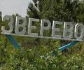 23 тысячи жителей города Зверево в Ростовской области из-за аварии остались без воды