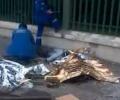 В ДТП в Москве погибло пятеро детей-инвалидов