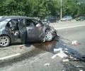 В ДТП с лосем в Подмосковье погибли три человека