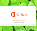  Microsoft Office 2013      