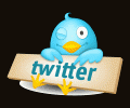  Twitter          