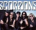  Scorpions        