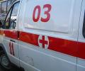 5-летняя девочка случайно повесилась на дереве, зацепившись шарфом за ветку