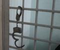 В Курганском суде умерла 40-летняя женщина, обвиняемая в убийстве отца