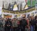 30 декабря в Волгограде пройдет многотысячный митинг националистов