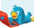    Twitter      