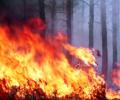 На Дальнем Востоке огнеборцы тушат первый первый лесной пожар