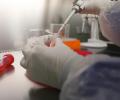 У жительницы Приморья, вернувшейся из Южной Кореи, заподозрили вирус MERS