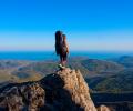 30-летний москвич погиб на отдыхе в Крыму