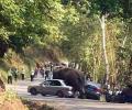 Слониха из заповедника в Китае растоптала больше десятка автомобилей туристов
