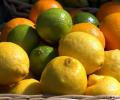 Турецкие фрукты и овощи заменяют поставками продуктов из Сирии