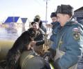 В подтопленном Ишиме спасателям пришлось эвакуировать животных из зоопарка