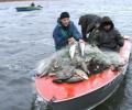 Весенняя рыбалка на Купянском водохранилище