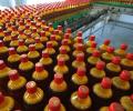 В следующем году в России не будут продавать пива в пластиковой таре