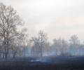 В пригороде Читы тушили лесной пожар