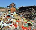 В России из санкционных продуктов больше всего утилизируют овощей и фруктов