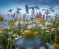 Новости экономики и бизнеса: впервые с 5 июля цена барреля нефти Brent превысила отметку в $50