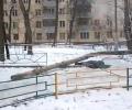 Молодую москвичку убило обледеневшее дерево