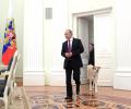 Путин появился перед японскими журналистами с подаренной собакой