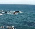 Корейский военный самолет по ошибке сбросил бомбы в Японское море