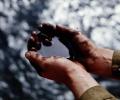 В Белоруссии открыли потенциально богатое месторождение нефти