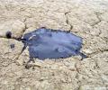 В пятницу мировые цены на нефть остались стабильными
