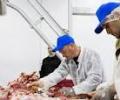 Россельхознадзор: в девяти районах распространилась продукция с птичьим гриппом
